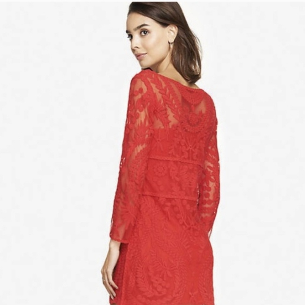 Express lace dress